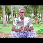 இயற்கை உணவு முறை