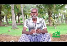 இயற்கை உணவு முறை
