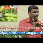 நோயின்றி வாழ சாப்பிடவேண்டிய உணவுகள் | Healer baskar speech on healthy food