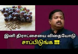 திராட்சை விதை ரொம்ப நல்லதுங்க | Dr.Sivaraman speech on Grape seed benefits