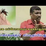 கொசு யாரை கடிக்கும் | Mosquito bite remedy in tamil by Healer baskar sir