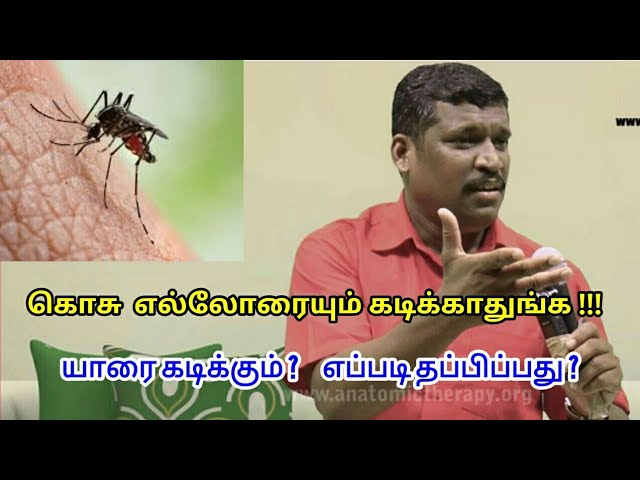 கொசு யாரை கடிக்கும் | Mosquito bite remedy in tamil by Healer baskar sir