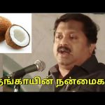 தேங்காய் – தாய்ப்பாலுக்கு சமம் | Coconut’s benefit as like mothers milk
