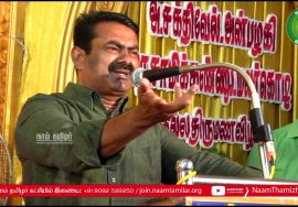 பட்டுக்கோட்டை திருமண விழாவில் சீமான் வாழ்த்துரை | Seeman Speech at Pattukottai NaamTamilar Marriage