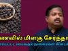 மிளகு- மருத்துவ பயன்கள் | தினமும் உணவில் சேர்க்க வேண்டும் | Dr.Sivaraman speech on pepper benefits