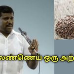 நல்லெண்ணெய் பற்றி யாரும் அறியாத நன்மைகள் | Healer Baskar on health benefits of seasame oil
