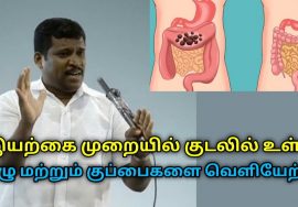 குடல் புழுக்களை வெளியேற்றி குடலை சுத்தம் செய்யும் இயற்கை முறை | Healer Baskar speech on Deworming