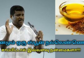 தினமும் ஒரு ஸ்பூன் நல்லெண்ணெய் சாப்பிடுவதால் கிடைக்கும் நன்மைகள் | Healer Baskar – Seasame oil