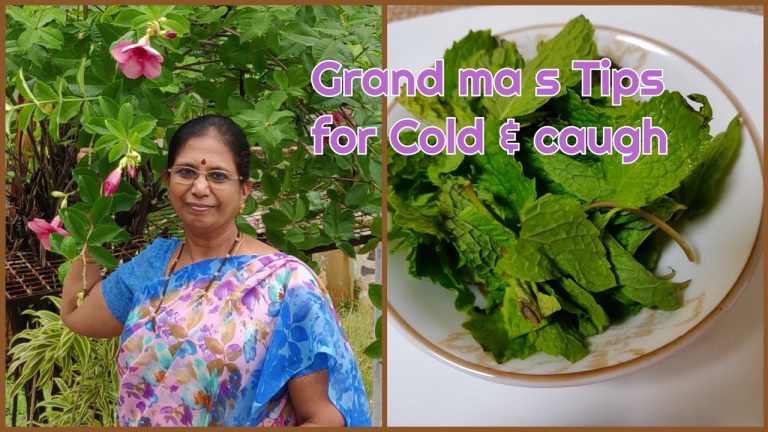 V log :Grand ma ‘sTips-Mint Kashayam & Toothpowder- சளி இருமலுக்கு புதினா கஷாயம் – Mallika Badrinath
