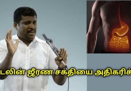 உடலின் ஜீரண சக்தியை அதிகரிக்கும் வர்ம புள்ளி | Healer Baskar speech on tips to increase digestion