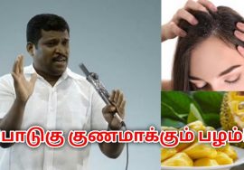பொடுகு குணமாக இந்த பழம் சாப்பிடுங்க | Healer Baskar speech on dandruff remedy