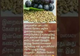 திராட்சை விதையின் மருத்துவ நன்மைகள்