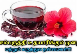 இதயத்தை பாதுகாக்கும் செம்பருத்தி டீ | Hibiscus tea health benefits