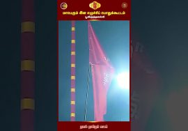 பறக்குது பறக்குது புலிக்கொடி! சிறக்குது சிறக்குது தமிழ்க்குடி! #Shorts #Pulikodi #NTKFlagSongs