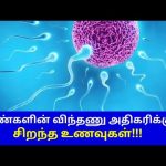ஆண்களின் விந்து உற்பத்தியை அதிகரிக்கும் இயற்கை உணவுகள் | Foods to increase sperm count