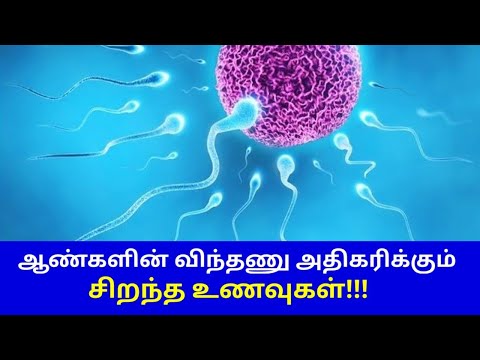 ஆண்களின் விந்து உற்பத்தியை அதிகரிக்கும் இயற்கை உணவுகள் | Foods to increase sperm count