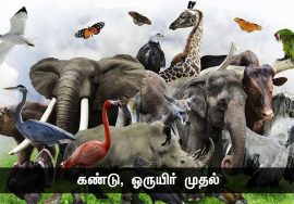 ஒட்டுமொத்த மனித குலத்திற்கு உலக கவிதை எழுதியது தமிழ்! – கவிப்பேரரசு  வைரமுத்து #நாளும்பலநற்செய்திகள்