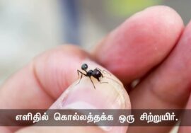 ‘எறும்பைப் போல் நசுக்கி விடுவேன்’. இந்தச் சொற்றொடர் நமக்கு இரண்டு செய்திகளைத் தெரிவிக்கிறது.