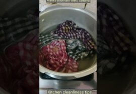 #Shorts 191-Kitchen cleanliness tips – Mallika Badrinath