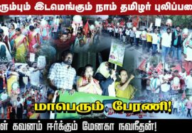 திரும்பும் இடமெங்கும் நாம் தமிழர் புலிப்படை | வேட்பாளர் மேனகா நவநீதன் மாபெரும் பேரணி 20-02-2023