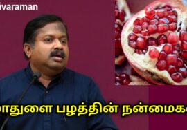 பெண்களுக்கான பழம் மாதுளை | Dr.Sivaraman speech on pomegranate