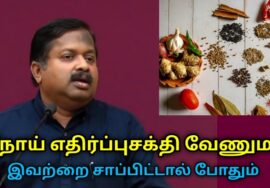 நோய் எதிர்ப்புசக்தியை அதிகரிக்கும் உணவுகள் | Dr.Sivaraman speech on immunity boosting foods