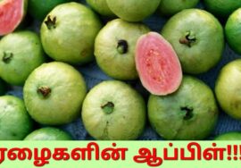 கொய்யா பழத்தின் வியக்கவைக்கும் சத்துகள் | Dr.Sivaraman speech on guava health benefits