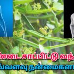 பிரண்டை கொடுக்கும் வியக்கவைக்கும் நன்மைகள் | Pirandai Health benefits