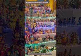 #Shorts 302 Golu Visit to  Sri Venugopalaswamy Devasthanam -Chennai Gopalapuram