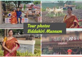 Visit to Siddhagiri Museum near Kolhapur :Part -2