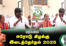 ?நேரலை 25-01-2025 ஈரோடு கிழக்கு இடைத்தேர்தல் 2025 | சீமான் பரப்புரை| மரப்பலம்