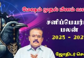 12 ராசிக்குமான சனிப்பெயர்ச்சி பலன்கள் 2025 to 2027 | Jothidar Shelvi | Sanipeyarchi 2025 to 2027