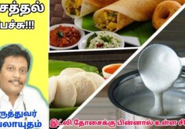 இட்லி தோசையினால் உடலில் ஏற்படும் பாதிப்பு – ஆரோக்கியம் தரும் பேச்சு | Dr.Velayutham siddha doctor