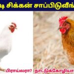 சிக்கன் சாப்பிட வேண்டாம் | Broiler Chicken vs Country Chicken Health Benefits
