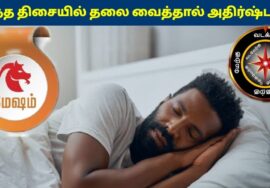 மேஷ ராசிகாரர்கள் இந்த திசையில் தலை வைத்தால் கோடீஸ்வரர் ஆகலாம்! | Mesham Rasi Sleeping Direction