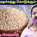 தரமான புரதச்சத்தை கொடுக்கும் உணவு இதுதான் | Dr.Sivaraman speech on white solam health benefits