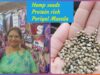 Hemp seeds benefits &Protein rich Poriyal masala using hemp seeds