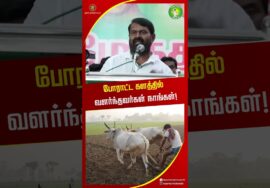 உலக அரசியல் படித்து மக்களுக்காக வந்தவர்கள்? சீமான் பேச்சு! #shortvideo #seeman #tvknews #tnpolitics
