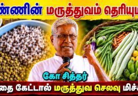 நம் உணவையே மருந்தாக்கும் ரகசியத்தை சொல்லும் கோ சித்தர் | Ko Sither speech on natural remedy