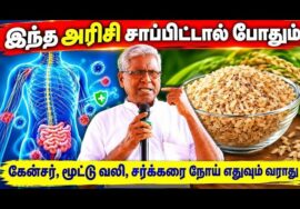 அரிசி உணவு சாப்பிட்டே பல நோய்களை குணப்படுத்தலாம் | Ko Siddhar speech | Rice Health Benefits
