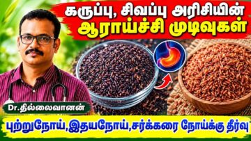 பல நோய்களில் இருந்து பாதுகாக்கும் பாரம்பரிய அரிசி வகைகள்| Dr.Thillaivanan speech on Traditional rice