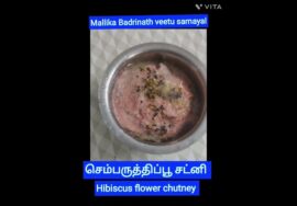 Shorts 468 செம்பருத்திப்பூ சட்னி / Hibiscus flower chutney – Protein rich chutney